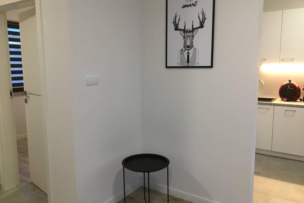 Apartament Fibra Americano Rybnik  Exterior foto